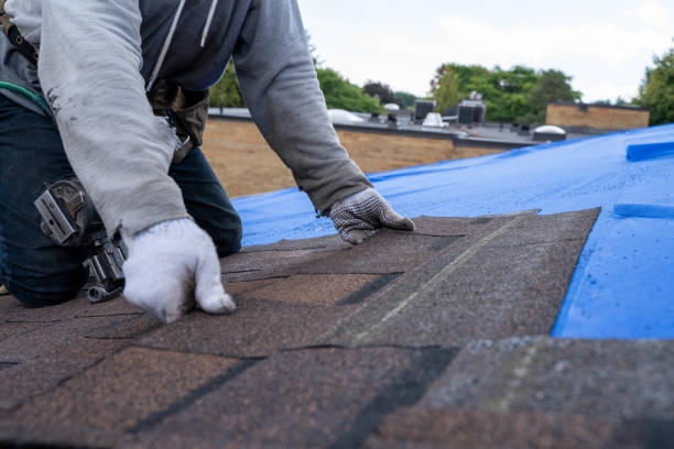 Best Roof Leak Repair  in Fredonia, NY
