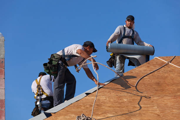 Best Roof Repair Services  in Fredonia, NY