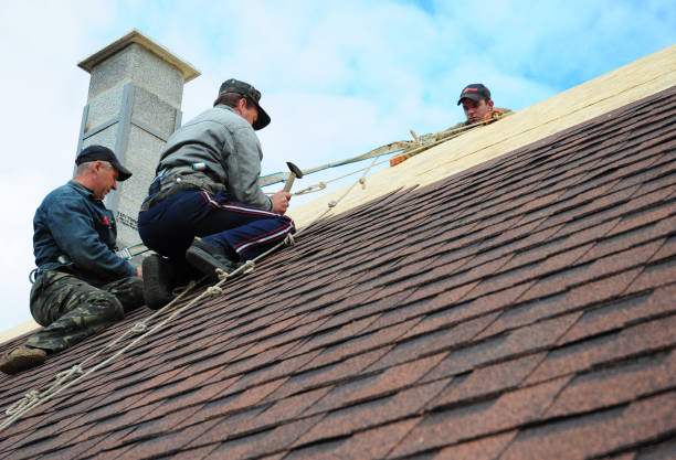 Best Residential Roofing Contractor  in Fredonia, NY
